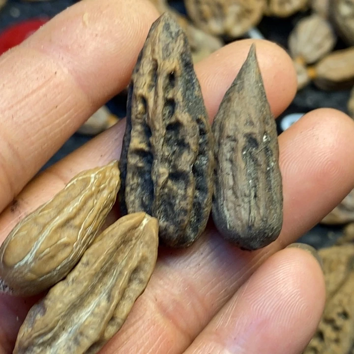 吊坠文玩核桃娜姐15