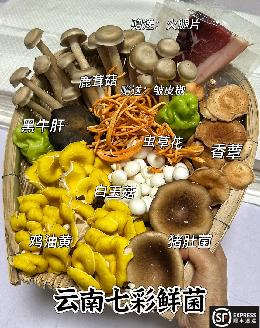 云南菌菇七彩鲜菌 火锅煲汤必备 顺丰空运包邮