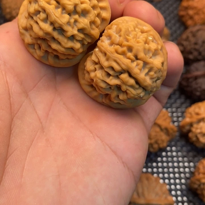 秦岭赵赵文玩 秦闷 37