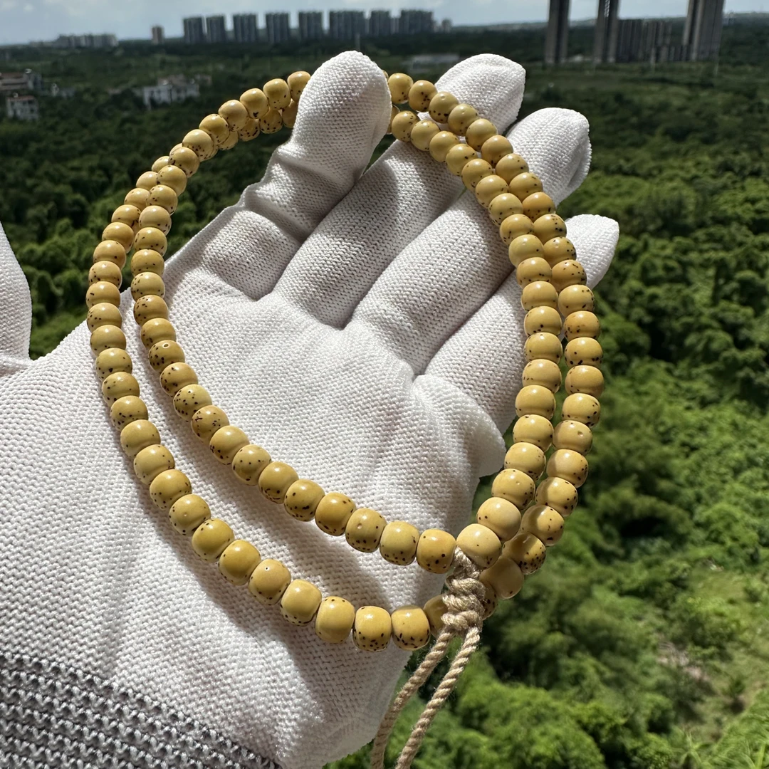 卡6星月菩提半壁江山