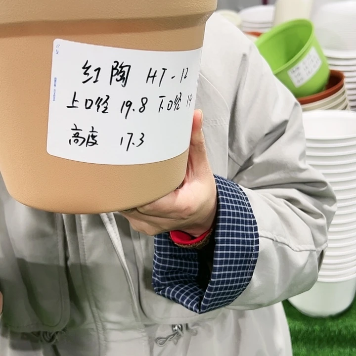 正品红陶口19高17白色无托6只
