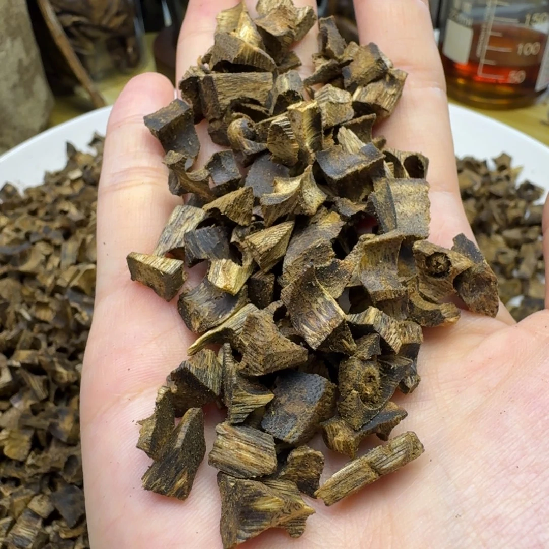 沉香沉香碎屑金沙叶高油车珠碎料100g