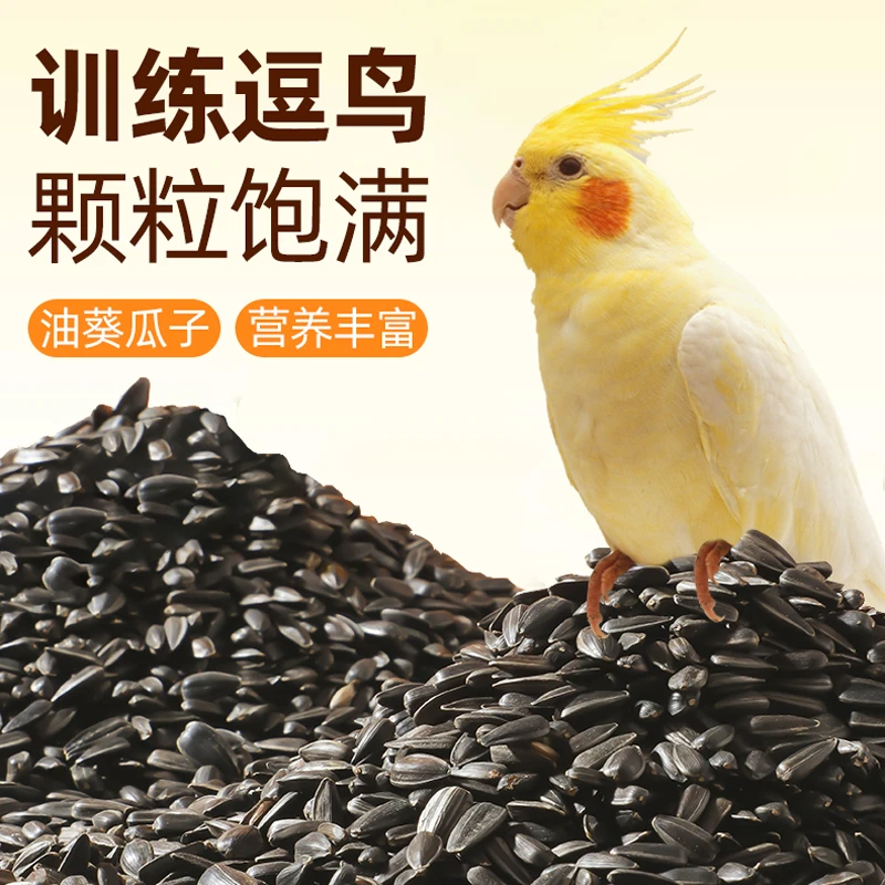 【宠大条】鹦鹉仓鼠油葵花子油葵籽鹦鹉鸟食仓鼠粮鸽粮黑瓜子鸟用粮