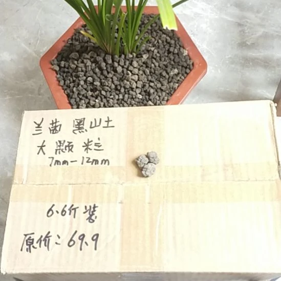 打***佬兰菌黑山土大颗粒6.6斤