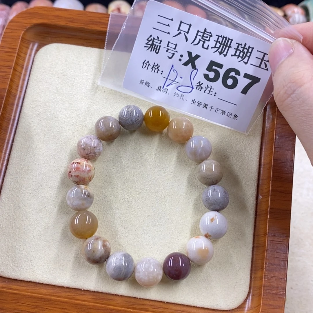 硅化珊瑚（珊瑚玉）1未镶嵌米*