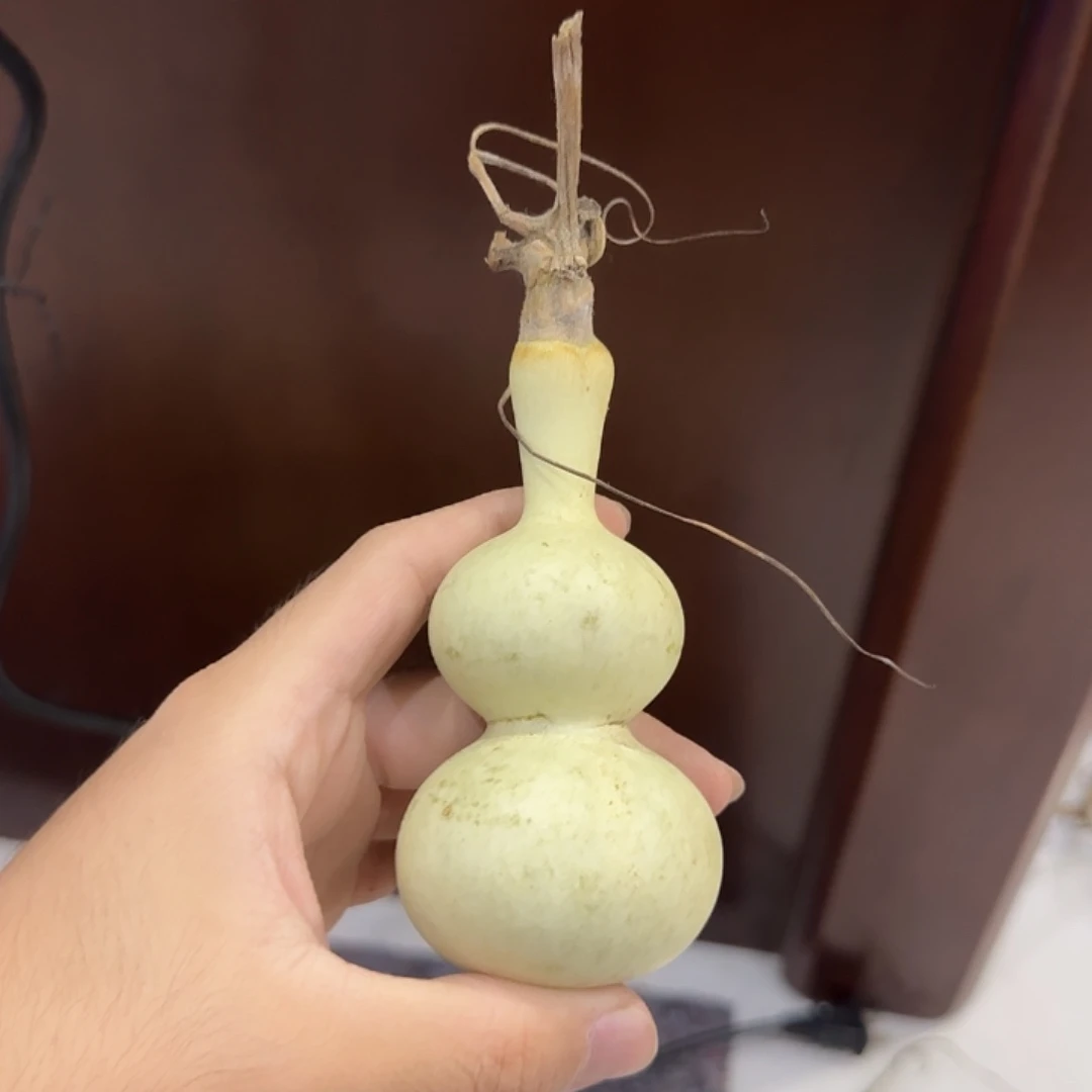 凡***人葫芦djdjsjsjsjsnsns