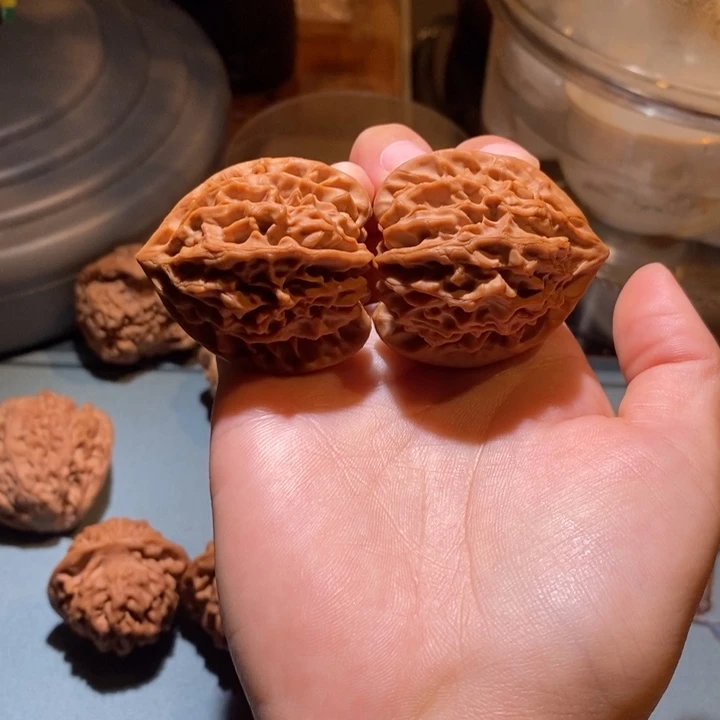 39毕业龙门涧毕业