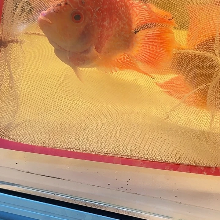 金***弟海水啊啊啊啊啊啊啊啊啊