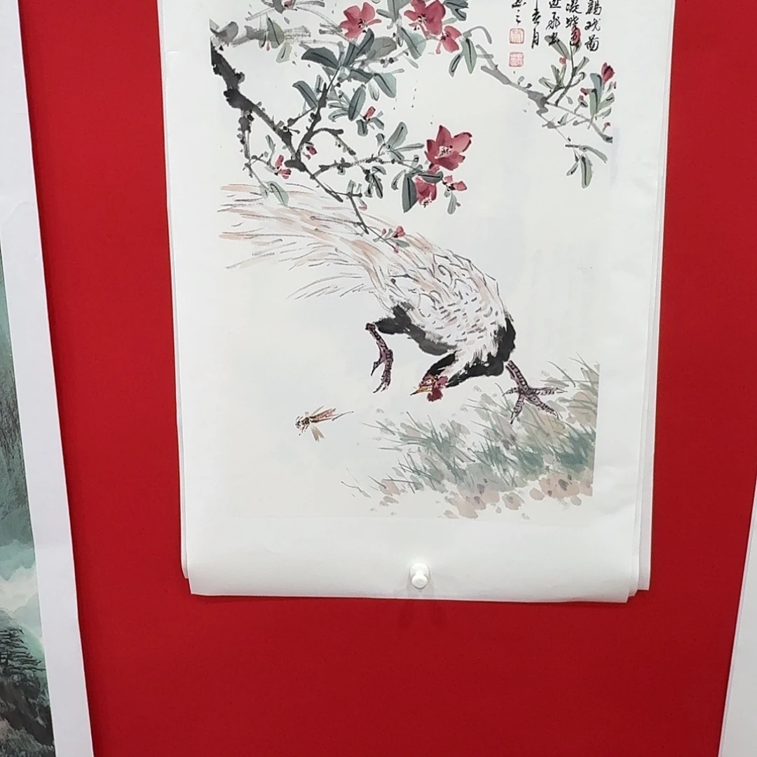 国画新号开播福利多多