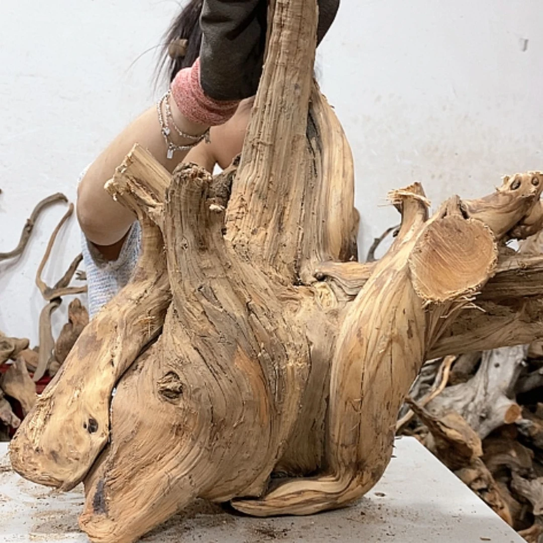 【闪购商品】柏木昆**巅我们都是好孩子呀