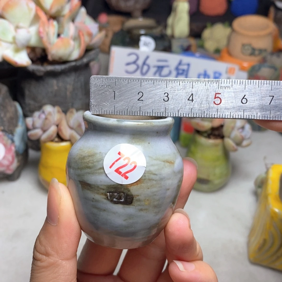 拍5送一个小礼物