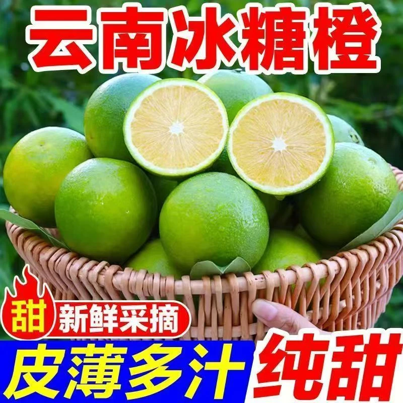 农家云南哀牢山青皮冰糖橙新鲜应季水果现摘现发清甜爆汁自家果园