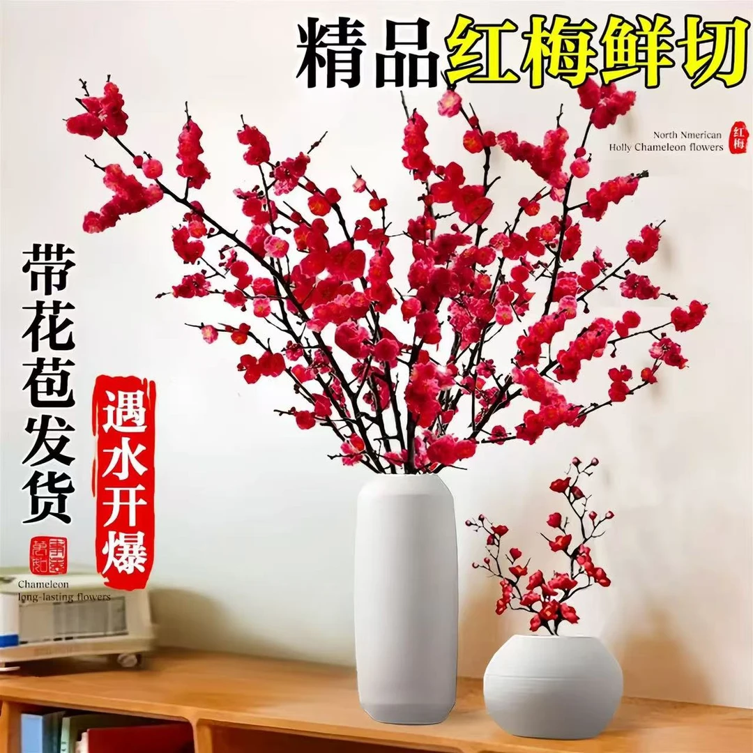 【鲜切红梅】新年装饰梅花枝遇水开花冬季室内水培桃花枝带花苞发货
