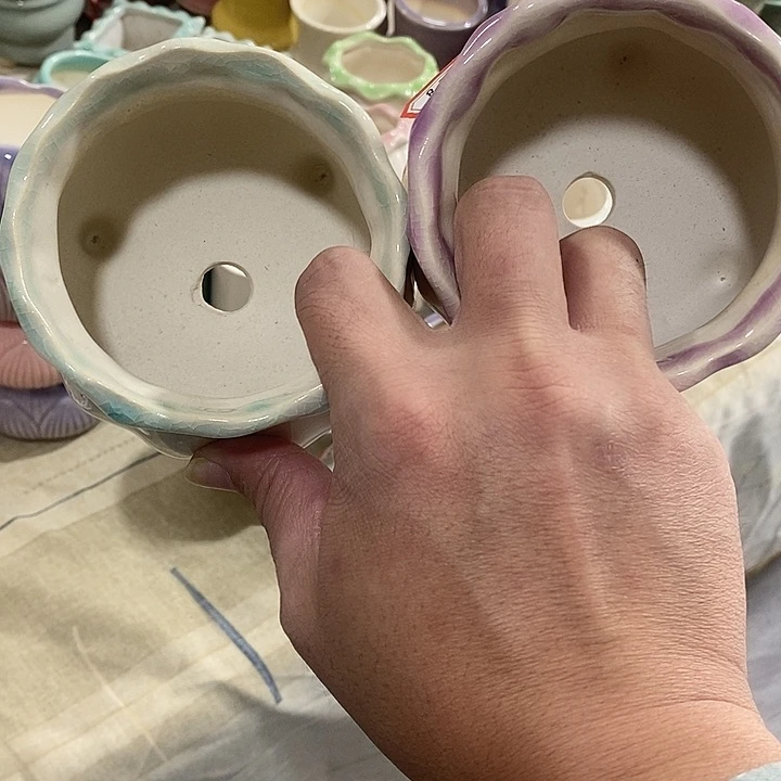 花盆抢购清货马上开始