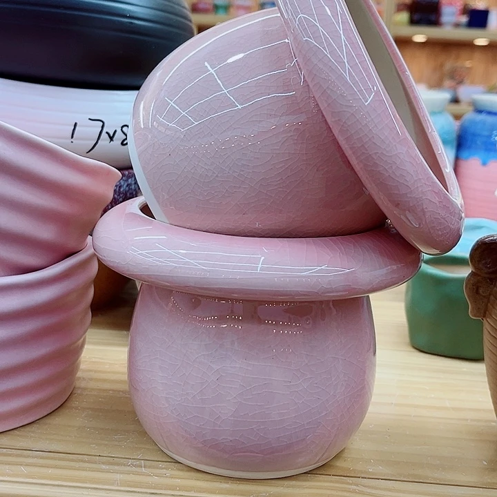 多肉植物陶瓷花盆