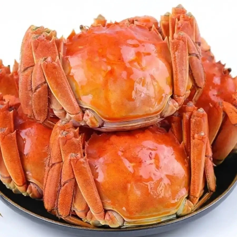 江苏  母 （ 1.8-2两）一个小时送达