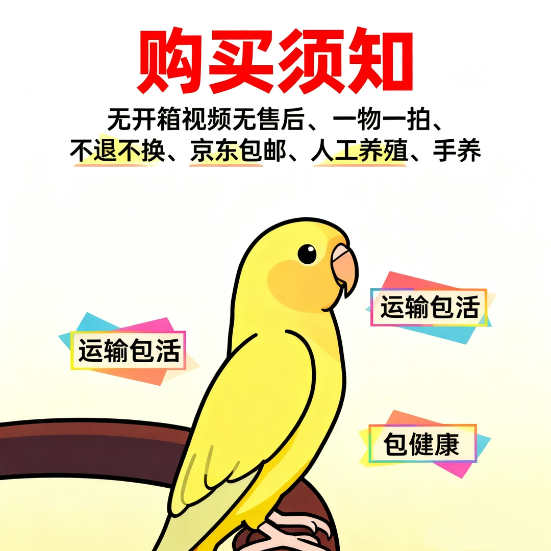 （直播链接）手养牡丹鹦鹉活体宠物鸟【直播间一物一拍】