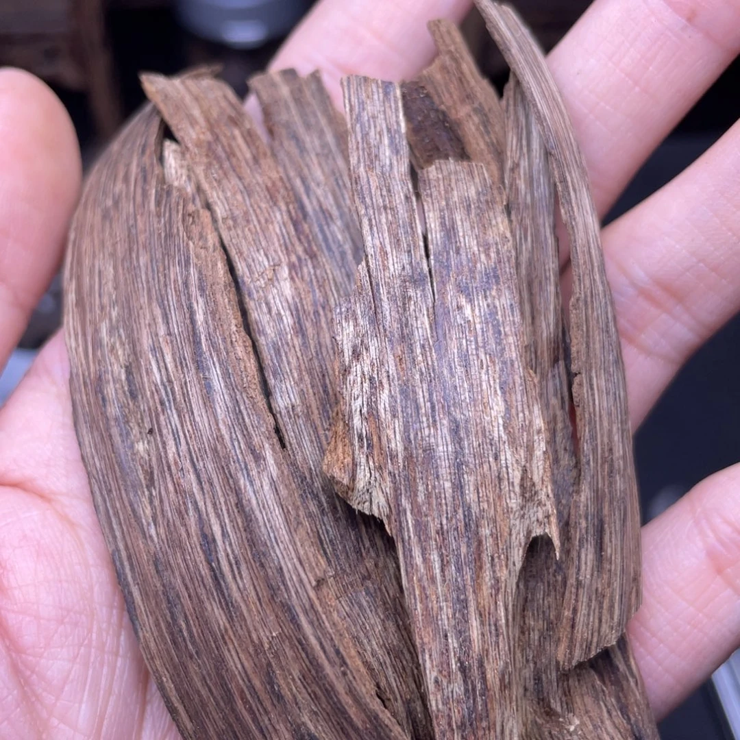 香榧木海南尖峰岭碎料12克