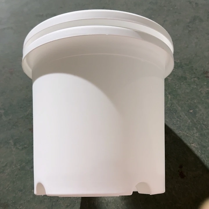 四季5号纯白无托10个特价