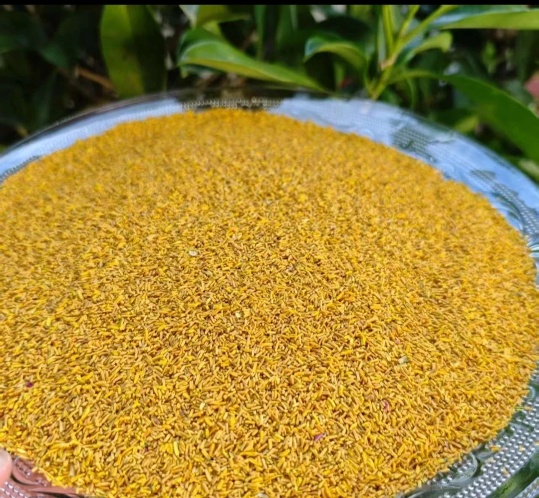 云南山货【黄-金-蕊-菌】