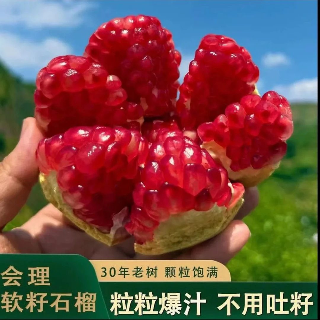 正宗会理软籽石榴新鲜应季水果爆甜多汁坏果包赔XS13