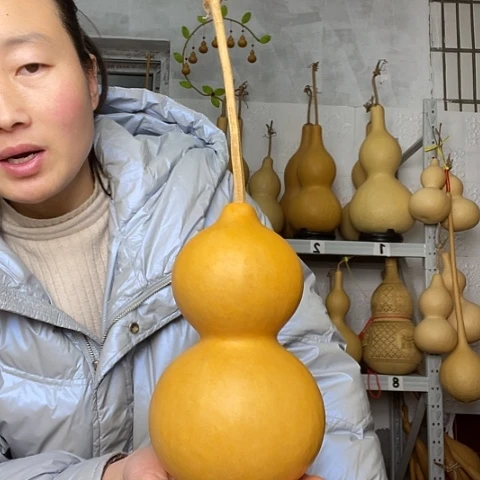 天然植物葫芦文玩