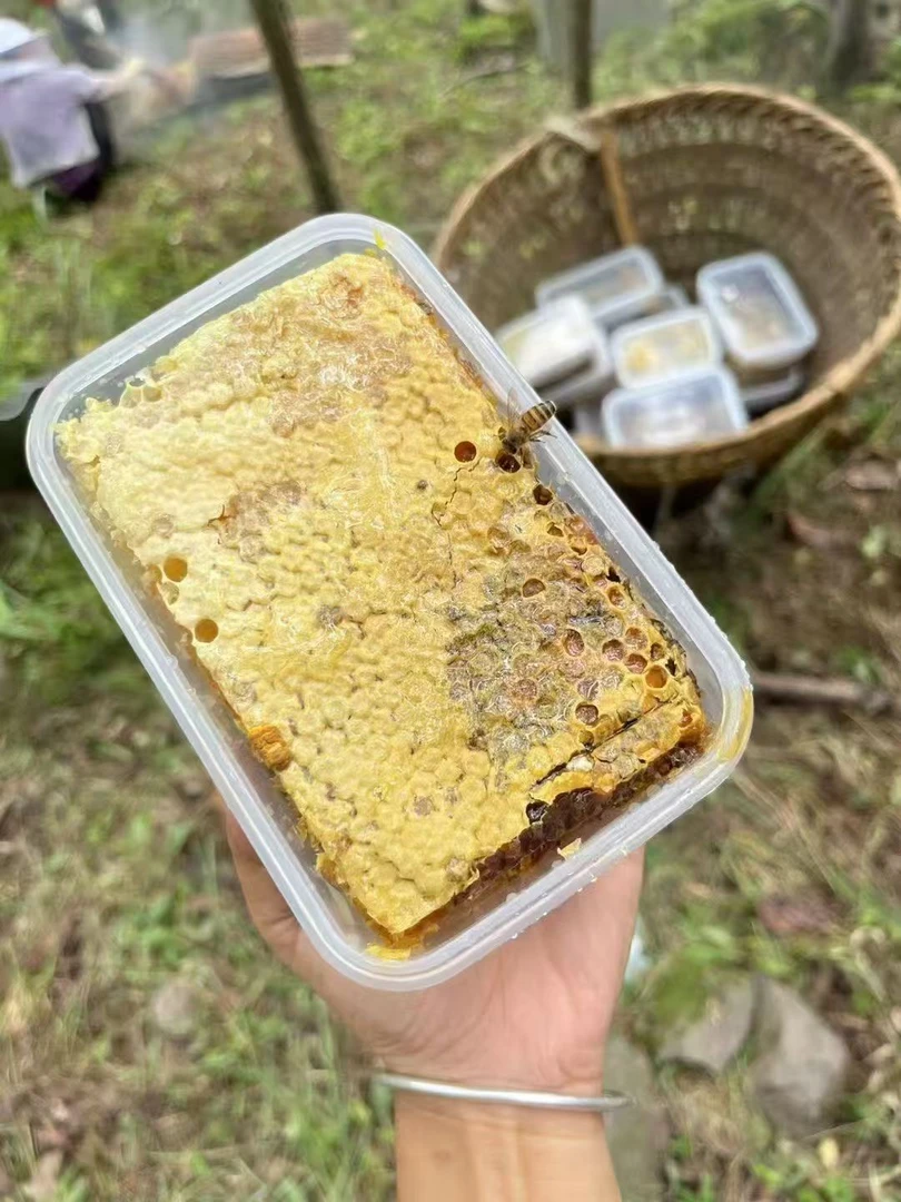 嚼着吃 棒棒桶蜂巢蜜  一年只取一次土蜂蜜 原始老林传统诱蜂采蜜