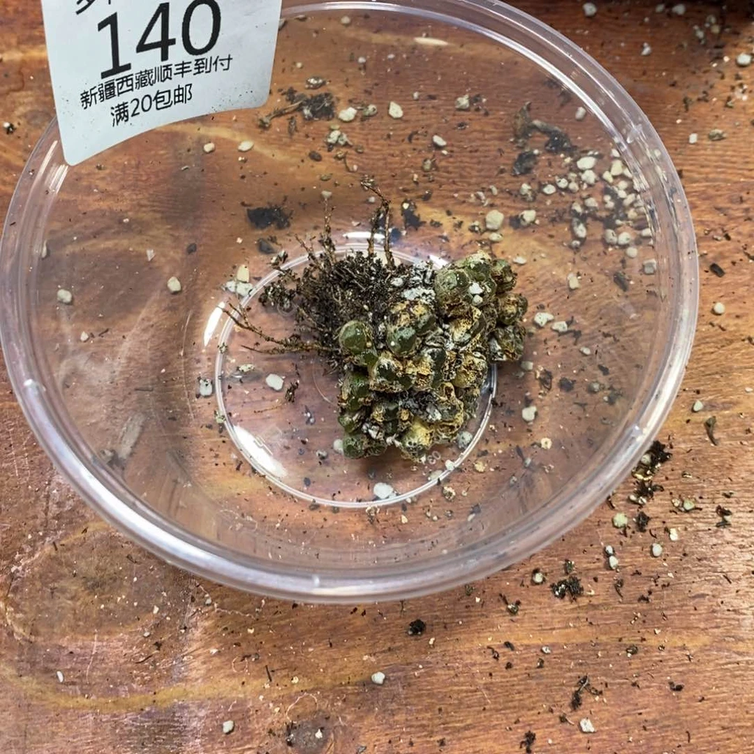 E****棍多肉蛋炒饭0000140