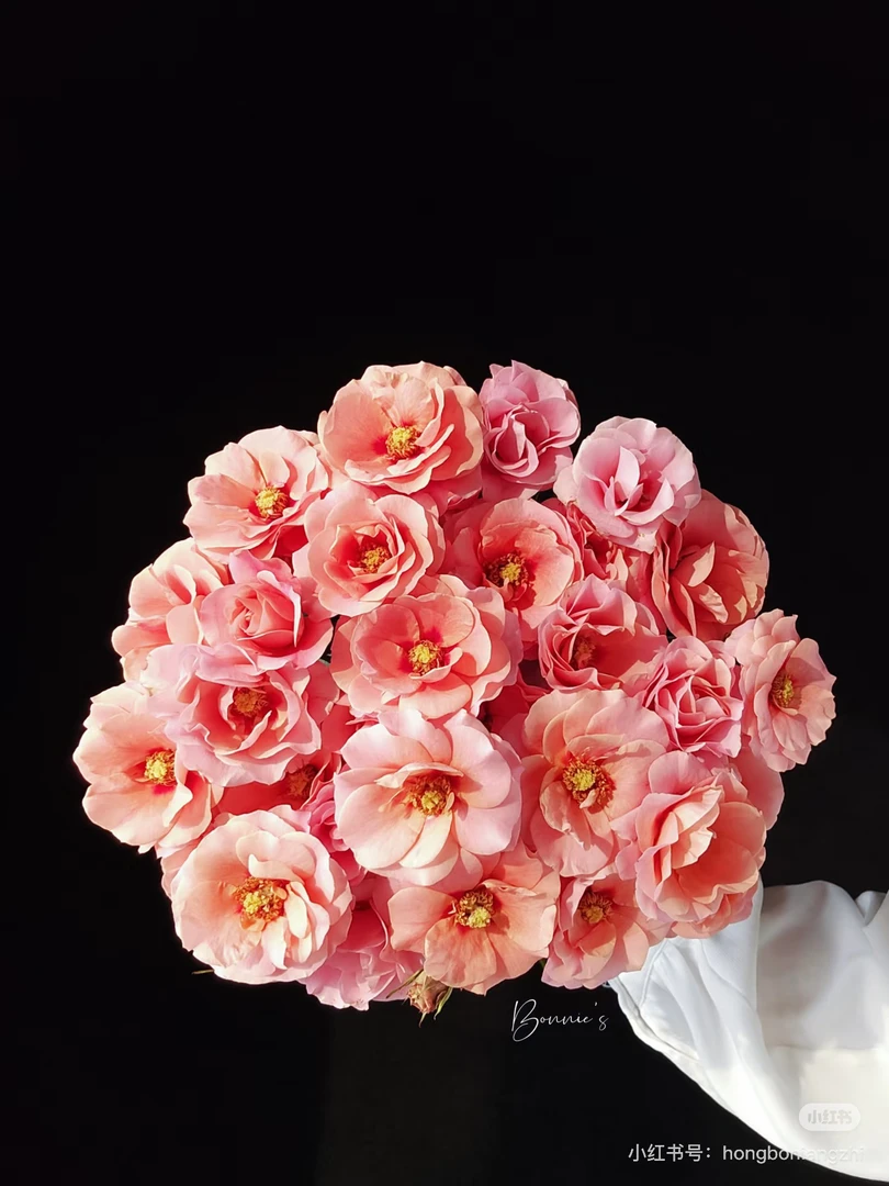 a级金鱼姬多头玫瑰