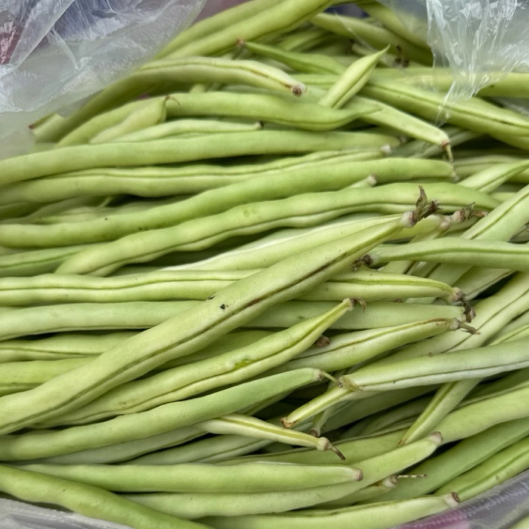 新鲜现摘豆角*两斤