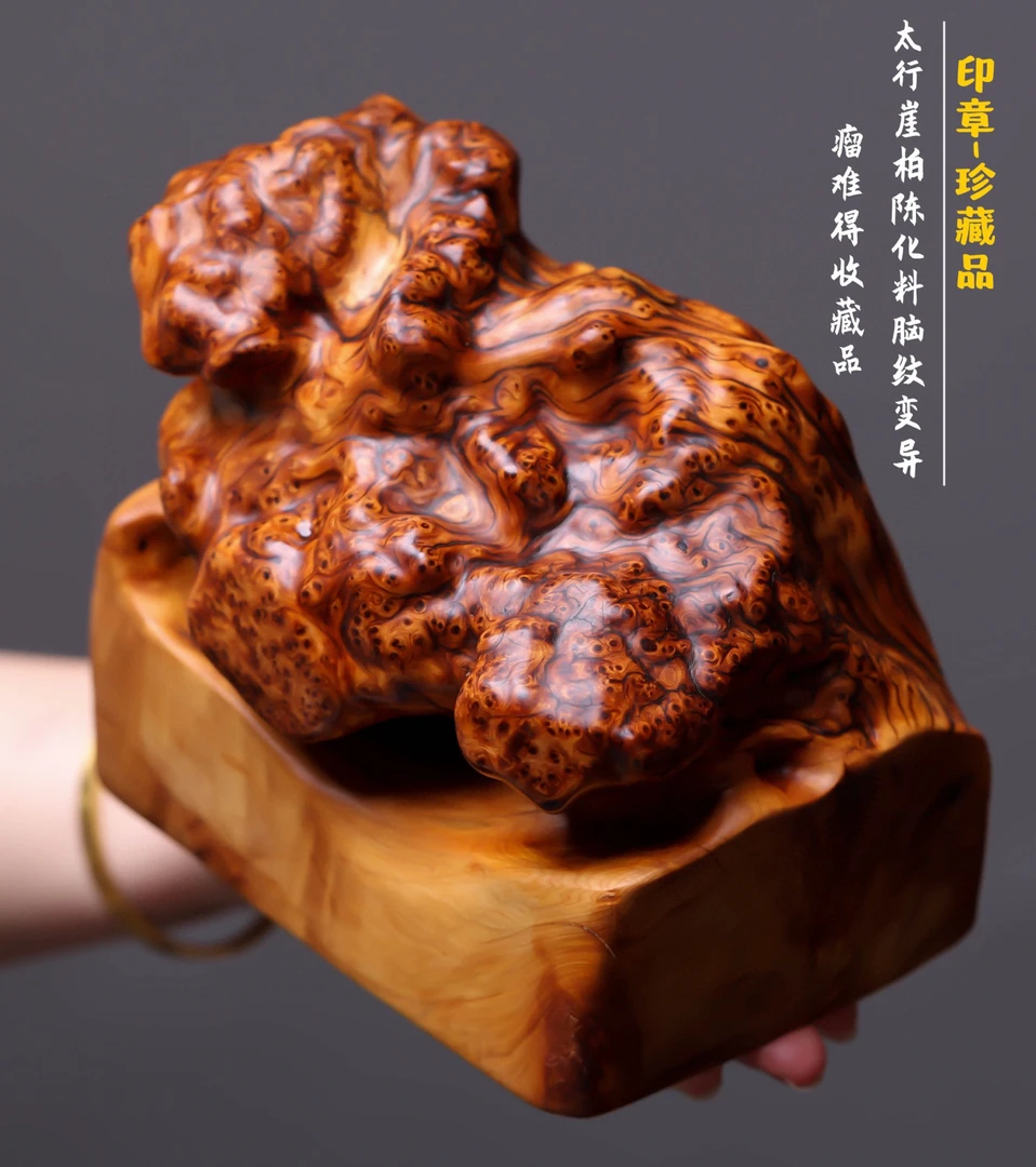 太行陈化料脑纹变异瘤龙长16宽11高14重2.8斤！