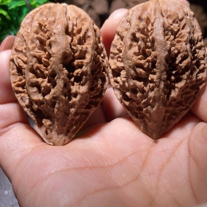 把件文玩核桃东北楸子小雪244