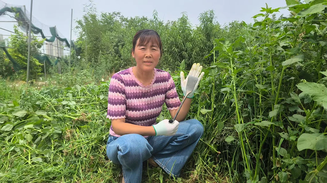 锻打连体6分铁铲子 挖菜铲 除草铲 园林园艺花铲