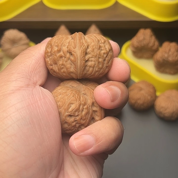 46尺精配头货毕业元宝