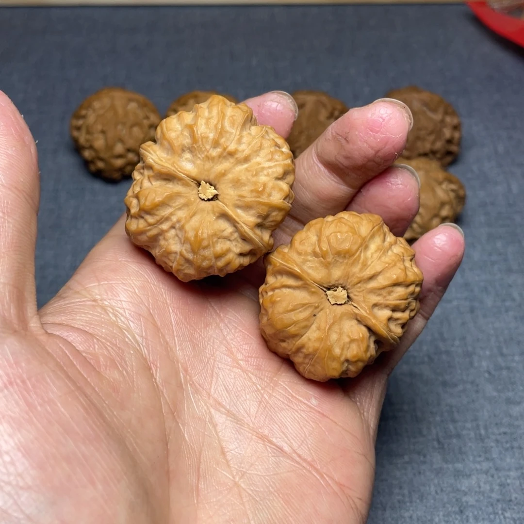 文玩核桃把件蛤蟆