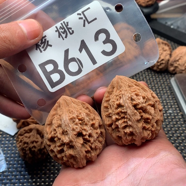 吊坠文玩核桃大沽石