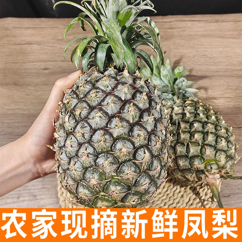 农家新鲜现摘凤梨 带箱5斤/2个装