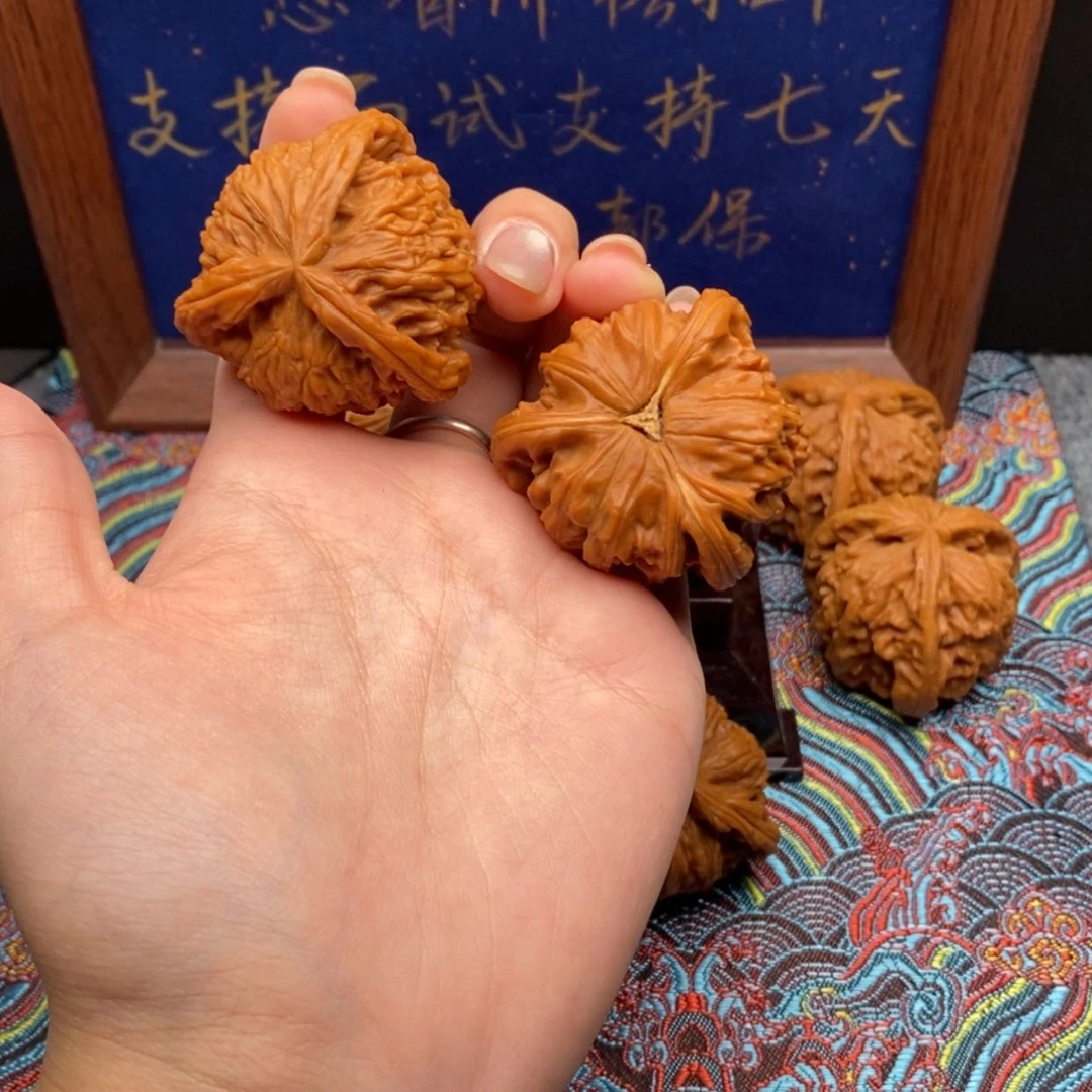 【闪购商品】L*J白狮