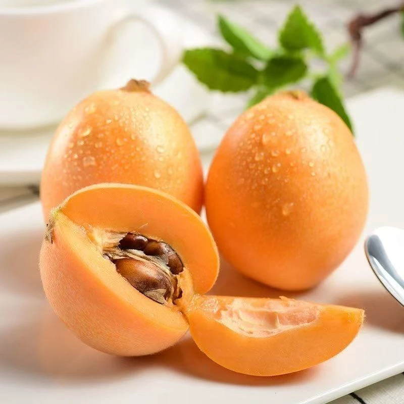 贵州高山五星大枇杷人工采摘新鲜发货水果