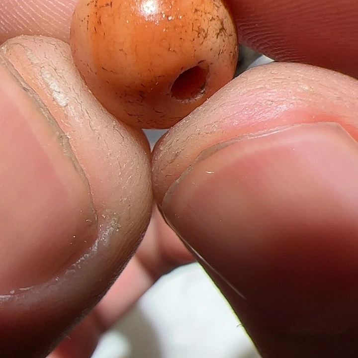 香榧木你的时候你