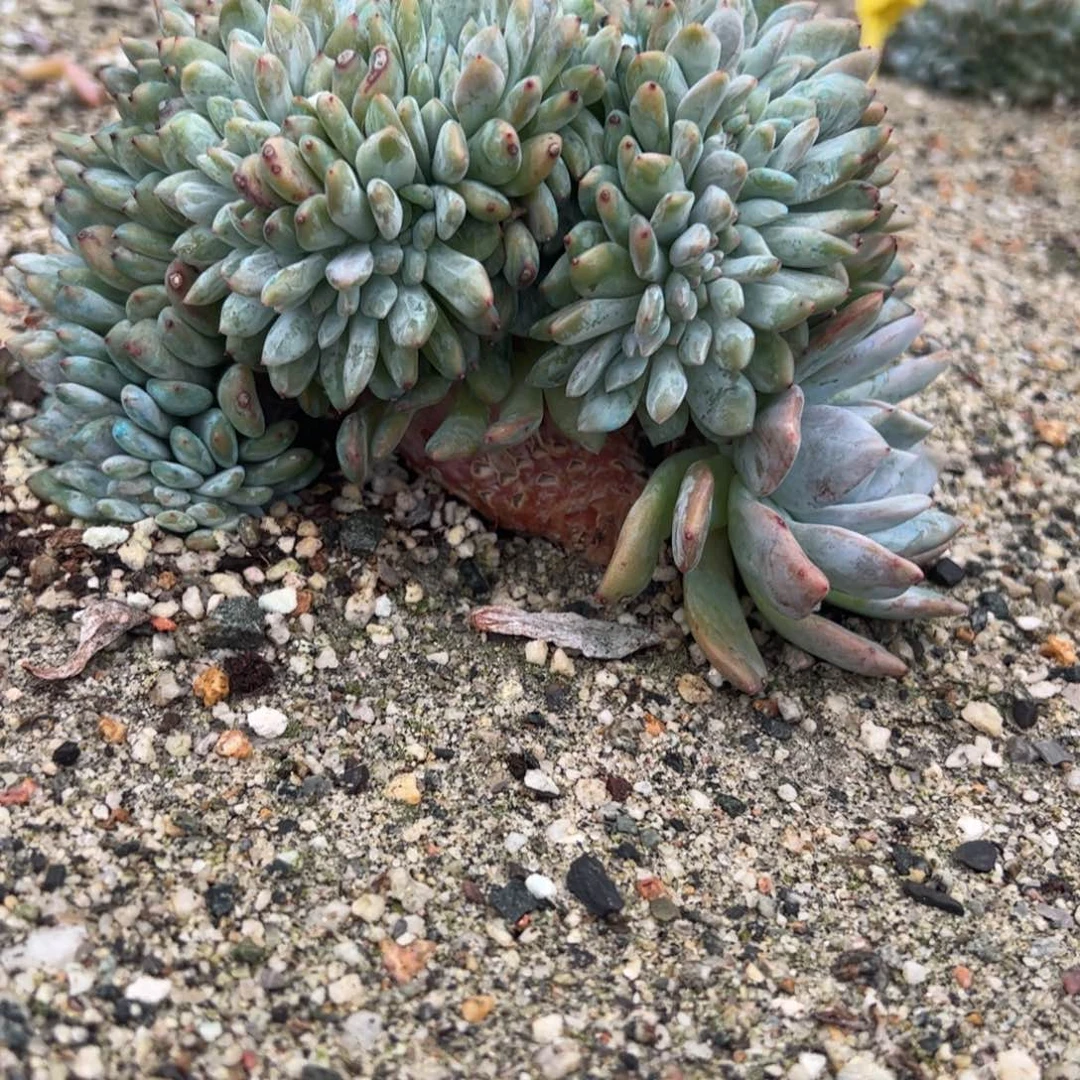 地地道道的点点滴滴