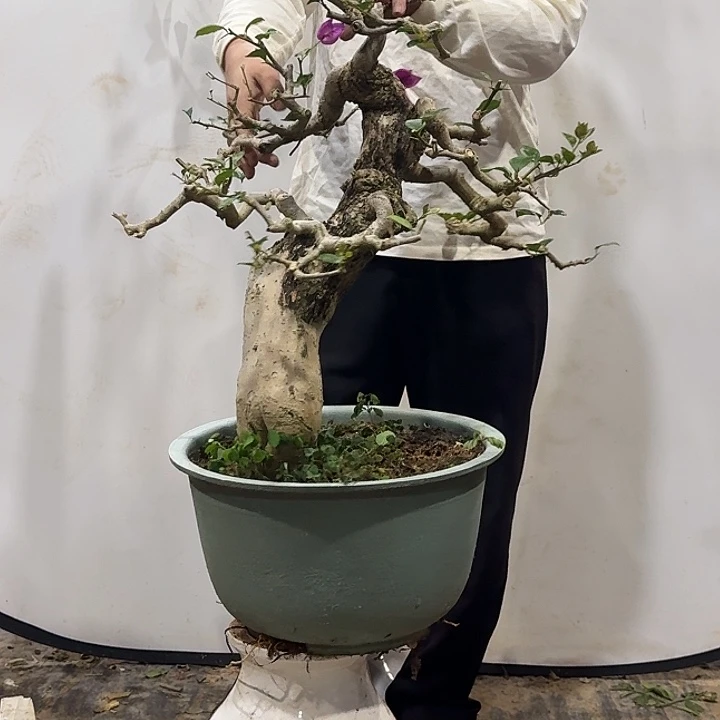 完全开放111111111