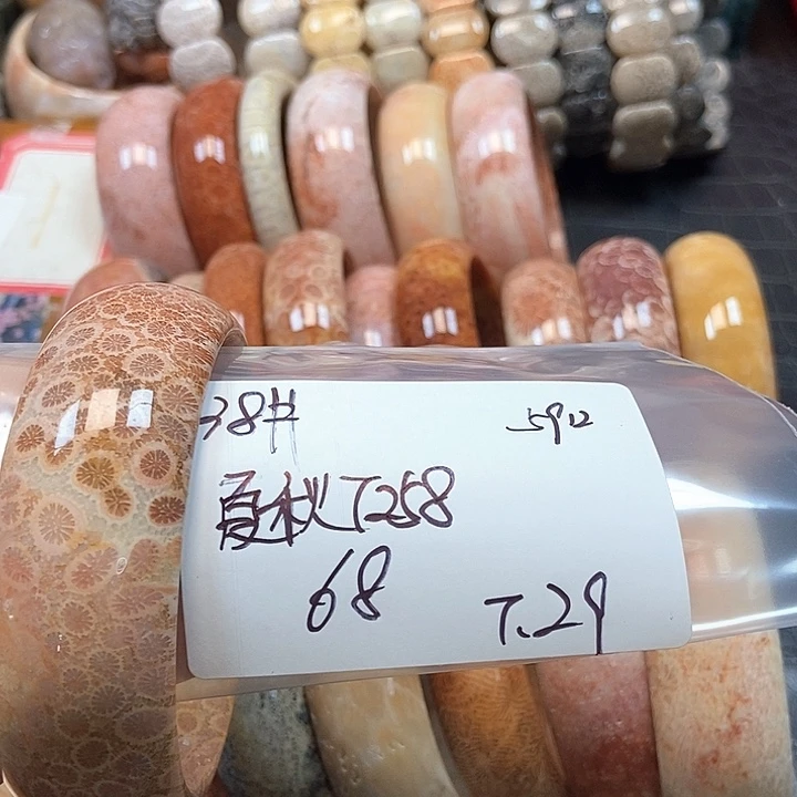 硅化珊瑚（珊瑚玉）11未镶嵌夏****838