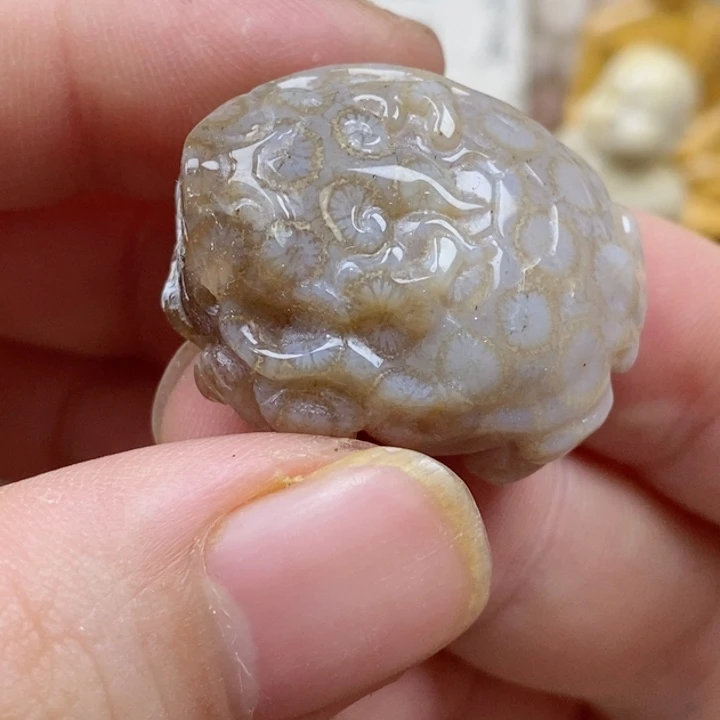 颈饰未镶嵌硅化珊瑚（珊瑚玉）有瑕 小