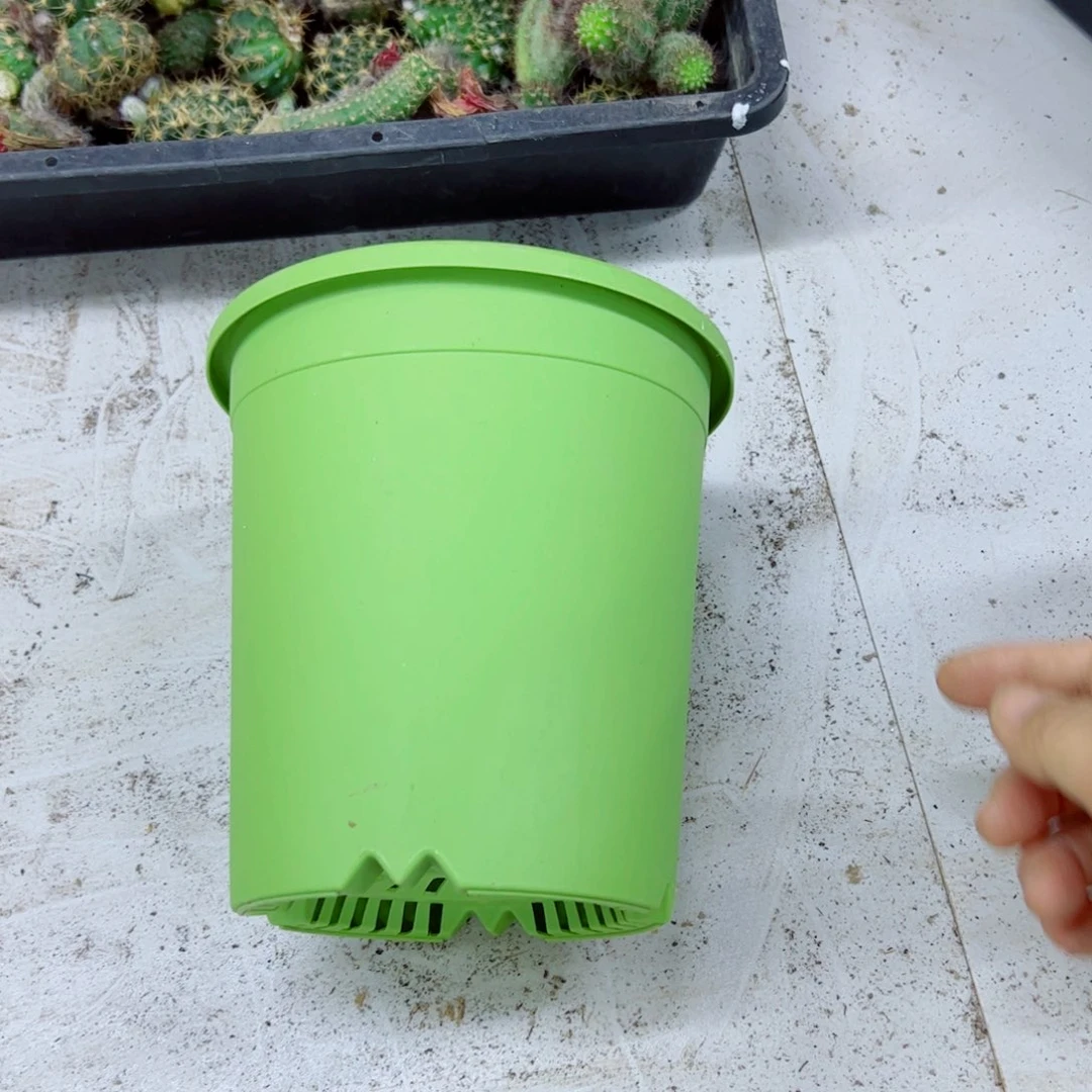 下23小绿盆2个口径15高15无托盘20包邮