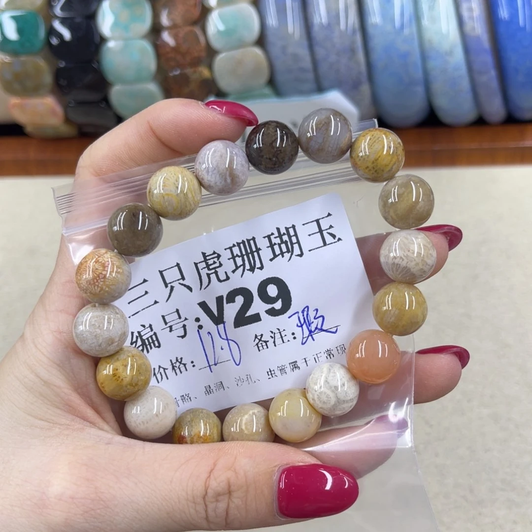 木****硅化珊瑚（珊瑚玉）h未镶嵌
