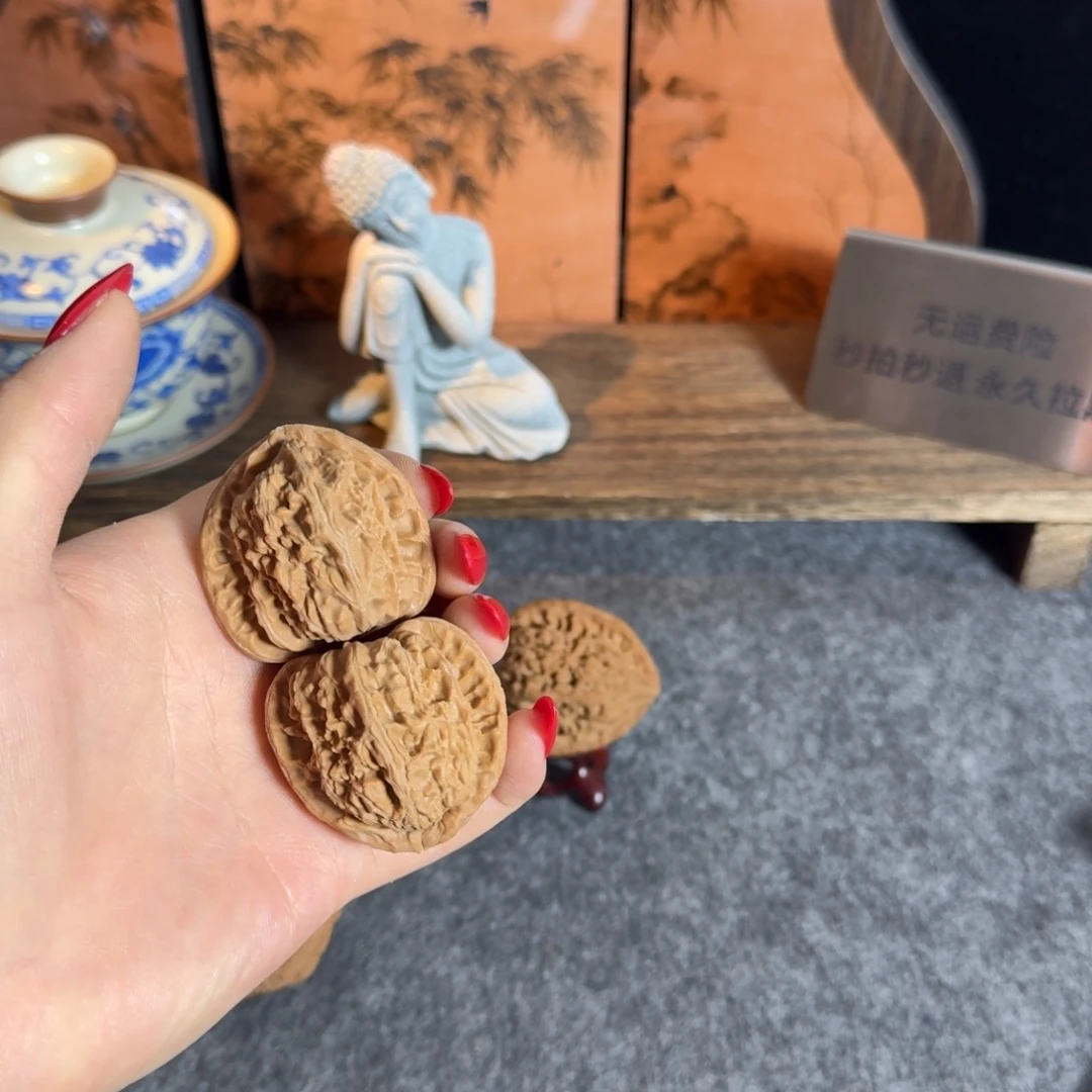 全品40老树白狮子
