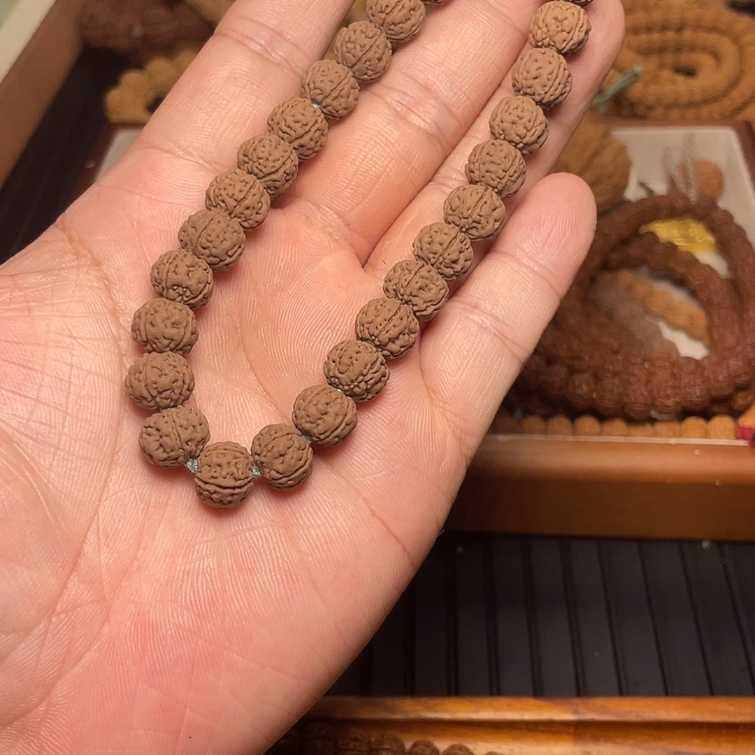 老树王手持0000001