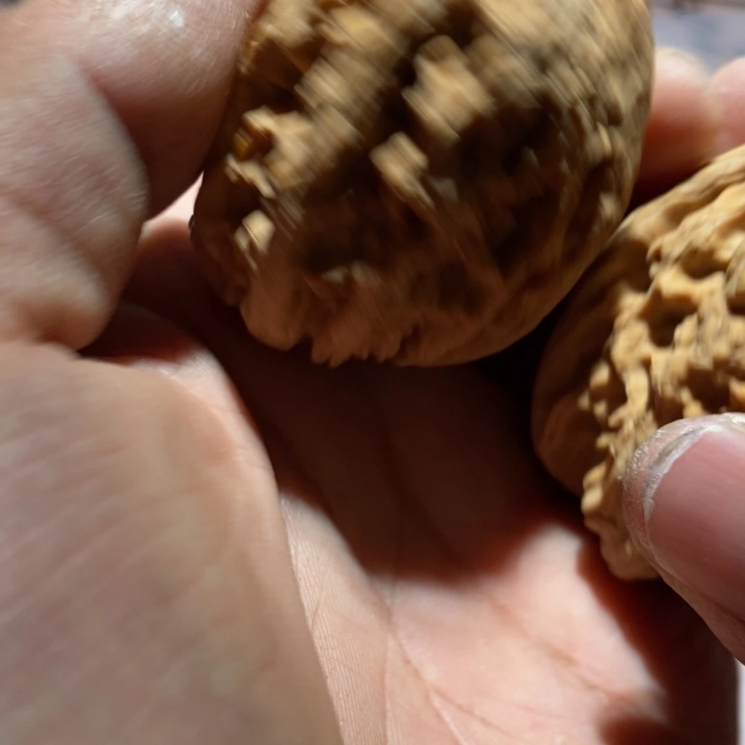 核桃手串/手链605