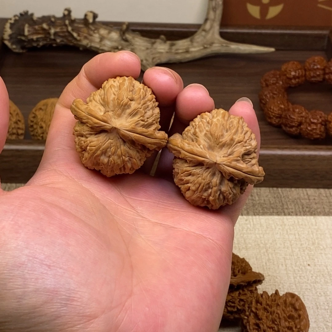 核桃全品白狮子43尺寸